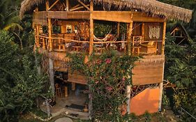 Jungle Kingdomes Guest House